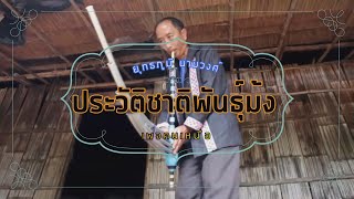 ประวัติความเป็นมาของชนชาติพันธุ์ม้ง