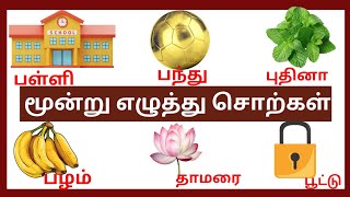 50 மூன்று எழுத்து சொற்கள் | Three letter words | kids learning and playing | #education