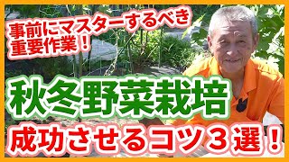 家庭菜園や農園の秋冬野菜栽培に向けて成功させる秘訣！栽培開始前にマスターすべき重要作業３選！【農園ライフ】