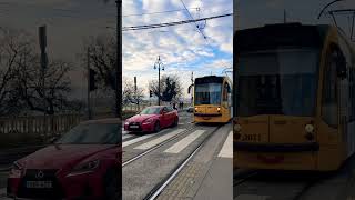 Üdv a Vezérnek!👋 #travel #tram #budapest #hello