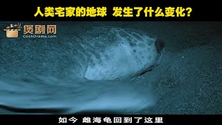 人类宅家的地球，发生了什么变化？6分钟带你看完《地球改变之年》