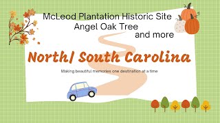 Road Trip - North/South Carolina - Shanann Watts | McLeod Plantation | Angel Oak Tree