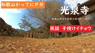 【和歌山かってにＰＲ】034「光泉寺の大イチョウ」民話子授け銀杏　2020年12月2日　和歌山の紅葉スポット　和歌山県東牟婁郡古座川町三尾川　　GoProMAX　大上敬史　Takashi.Oue