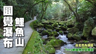 圓覺瀑布鯉魚山環狀登山路線 ☆台北市內湖區