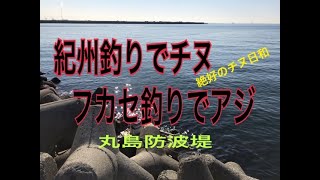 丸島防波堤 チヌ40cm fishingmax 武庫川