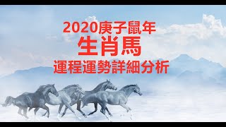 【12生肖2020年運勢運程】2020庚子鼠年十二生肖屬馬的人流年運程預測詳解