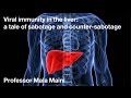 Viral immunity in the liver – Mala Maini