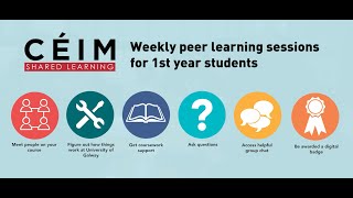 CÉIM Peer Learning 2025
