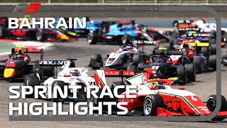 Formula 3 Sprint Race Highlights | 2022 Bahrain Grand Prix