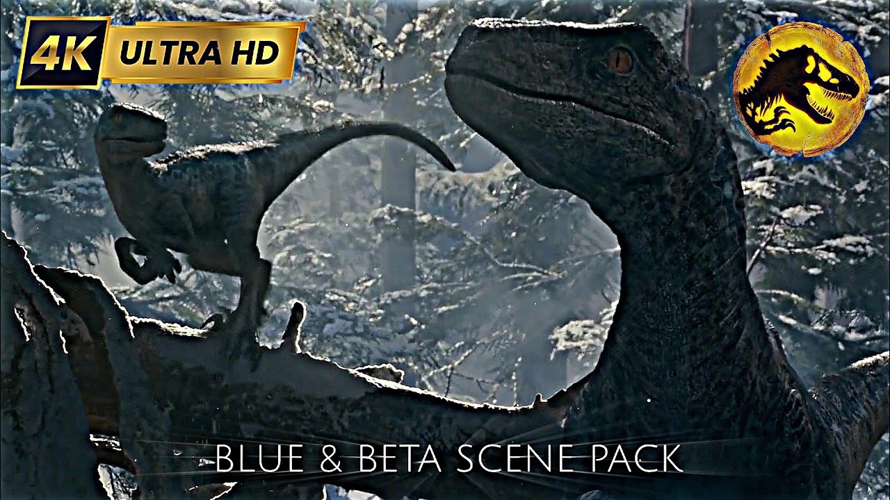 Jurassic World Dominion | Blue & Beta Scene Pack •[4K Ultra HD]• - YouTube