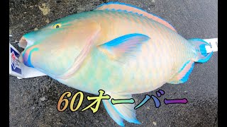 【60オーバー】主役を差し置いて釣るヤツテツ