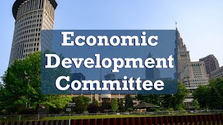 2025.02.03 Economic Development & Planning Committee Meeting