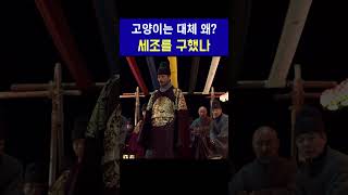 평창 상원사에서 조선 임금 세조의 목숨을 구해준 고양이 대체 왜 그랬을까 #shorts 2024 강원 동계청소년올림