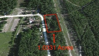 1.03 Acres in Polk, Texas - Lot 44019