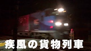 「2020年12月10日」疾風の貨物列車 全38本　新田踏切で撮影！大迫力のモーター音とジョイント音！深夜の街を貨物列車は全力で今日も走る！