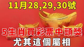 發財了！真不騙你！11月28,29,30號，這5個生肖一定要買彩票！尤其這個屬相，必中頭獎！暴富指日可待！【般若之音】#生肖 #運勢 #風水 #財運