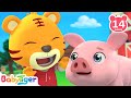 On the Farm + More Animals Songs & Nursery Rhymes | Jungle Animals | BabyTiger