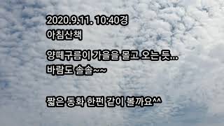 (소풍가 소소한일상) 양떼구름/ 아침 동네산책/ 3분동화/생각하는동화/마음을 찍는 사진기