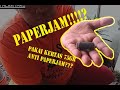 cara mengatasi Paperjam paper feed roll, kertas tidak mau narik