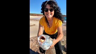 Kalbarri Beach fishing edited