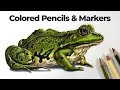 How to Draw with Markers and Colored Pencils - Frog