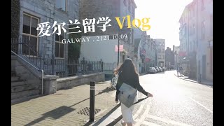 爱尔兰留学vlog｜打卡Galway girl取景地｜高威圣诞节市集