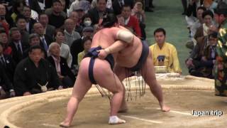 【稀勢盤石】稀勢の里 vs 勢 2017大相撲 大阪春場所5日目 Sumo Kisenosato vs Ikioi 2017 Osaka