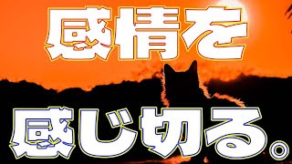 感情を感じ切る方法。感情を感じ切るから、感情に飲み込まれなくなる。