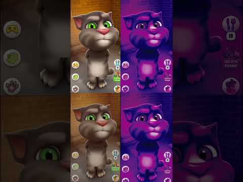 Talking Tom #mytom2 #divertido #tendencia #cat #talkingtom #challenge #comedia #tom_cbd #troll