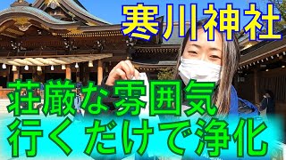 【寒川神社】迎春ねぶた飾りが繊細すぎて感動！お参りに行ってきました！