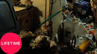 Hoarders: Family Secrets: Mary Battles a Rat Infestation (S7, E8) | Lifetime