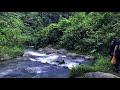 Mencari Ketenangan di Sungai Pisang, Gombak.