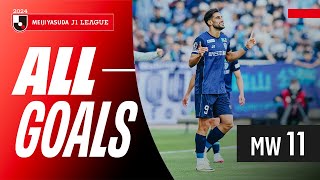 Stunning Volley Strike Takes Center Stage! | 2024 J1 League Goals Show | MW 11