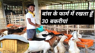 बाँस से तैयार किया शानदार Goat Farm , रखता हूँ 25 से 30 बकरियां  | Bakri Palan