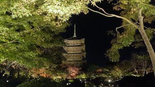 秋の京都・奈良・滋賀観光 part1（ 錦市場～東福寺～伏見稲荷～東寺）