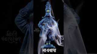 Vitthal 🌼Rukmini 🌼Darshan 🌼Pandharpur # short # video # YouTube short