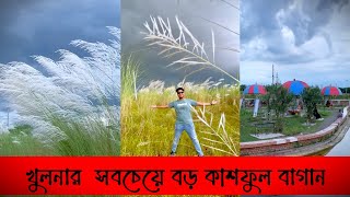 কাশফুল || Kashful ||  খুলনার বড় কাশফুল বাগান || kashful Khulna