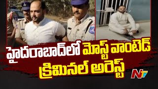 Most Wanted Criminal Arrested in Hyderabad | NTV