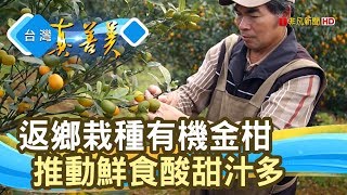 “鮮食金柑”有機翻轉│蘭陽金柑生產合作社│【台灣真善美】2019.12.22