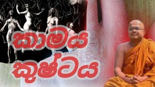 ඔබත් කාමයෙන් පීඩා විදින්නෙක් ද? #කාමය #රාගය #Ven #Allowwe #Anomadassi #thero #අලව්වෙ #අනෝමදස්සිහිමි