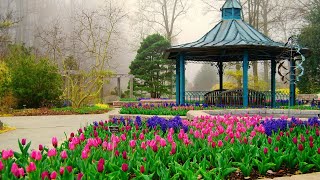 Brookside Garden~Montgomery County Attractions ~ Beautiful Garden