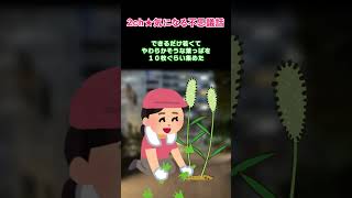 【2ch不思議体験】猫の草取ってたら【5ch】#shorts