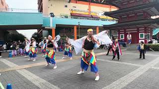 祭・WAIWAIよこはま 3回目 Ebinaよさこい