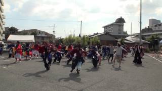 総踊り「黒田武士」　2015　玉名温泉夢まつり