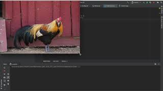 KT - Image Processing in Kotlin with Amanda Hinchman-Dominguez: Part 1