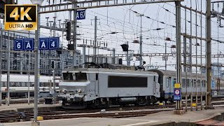 Trains à la gare de Genève CFF / zugverkehr am bahnhof Geneve CFF | 4K UHD 60 fps |