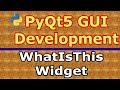 PyQt5 Creating WHATSTHIS Widget With QWhatsThis Class (Python GUI Development)  #11