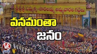 Medaram Jatara : Pre Rituals Kick Started | V6 Telugu News