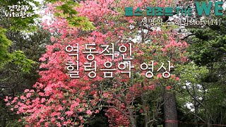 건강TV Vita한라 해암스토리(14) 역동적인 힐링음악 영상