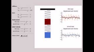 Dynamics of a Double Spring Mass